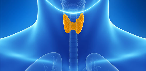 Is Your Thyroid Out of Balance?