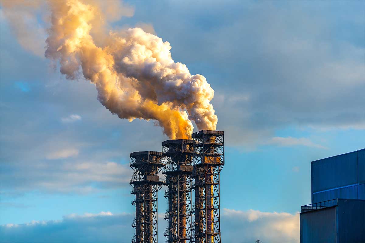 Toxic Environment, Toxic Bodies