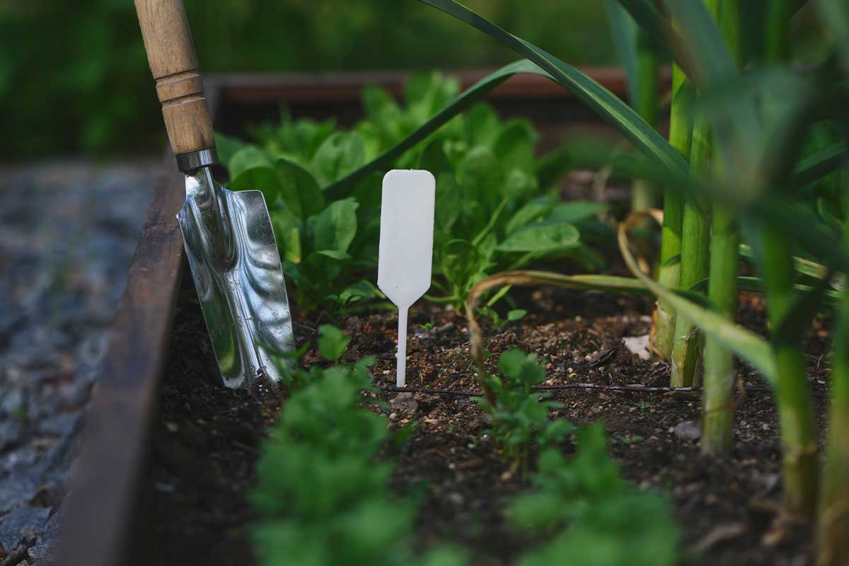 US Organic Rules Lacking