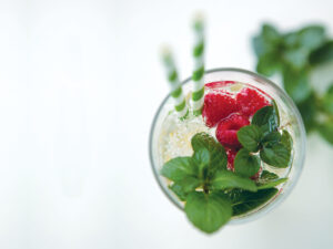 Chocolate Mint Italian Soda