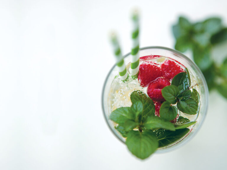 Chocolate Mint Italian Soda