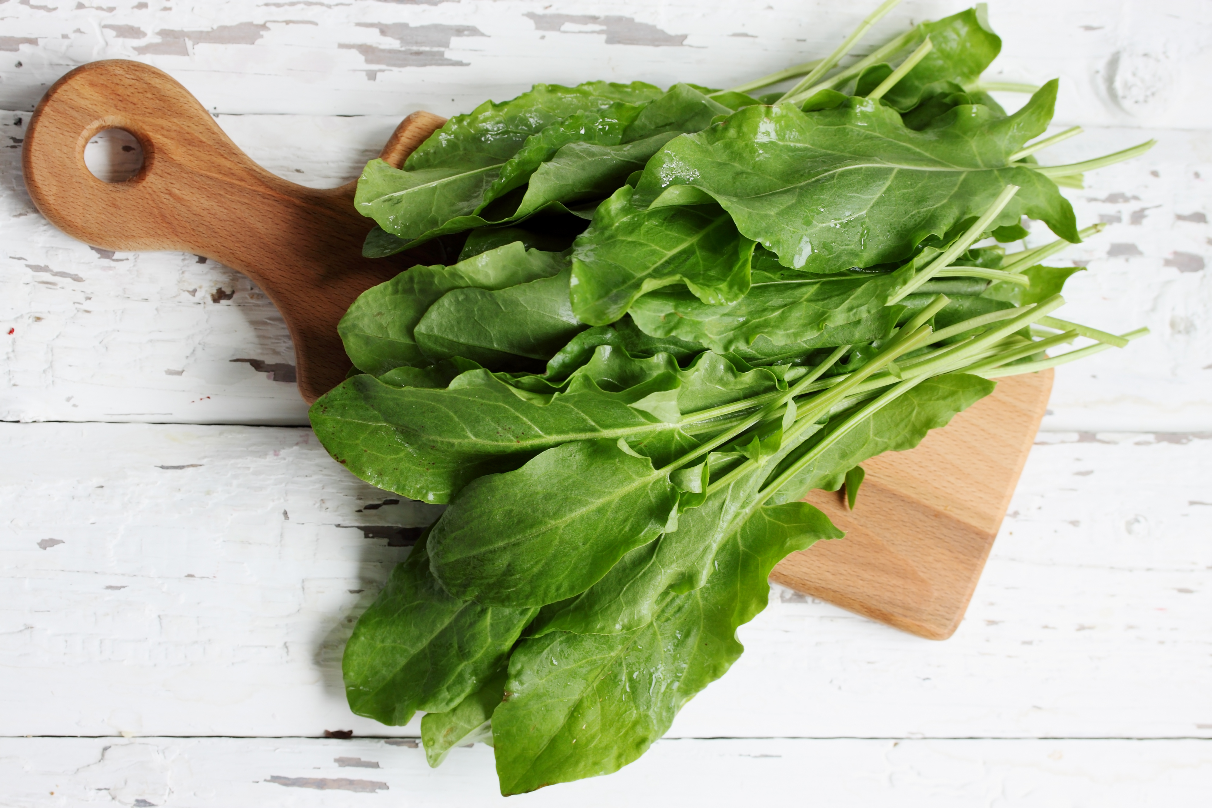 Get Sweet on Sorrel on a cutting board