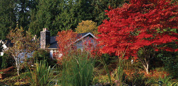 Fall Garden Maintenance