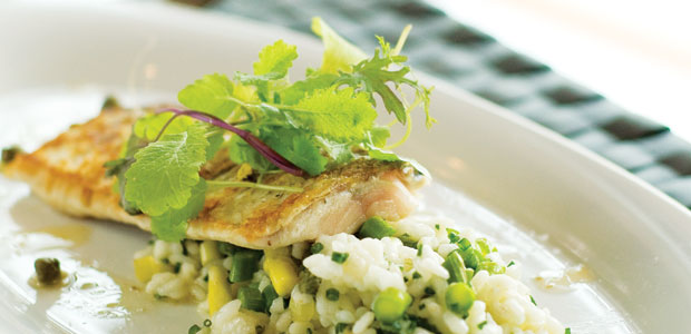 Pan-Seared Whitefish with Sweet Pea and Corn Risotto