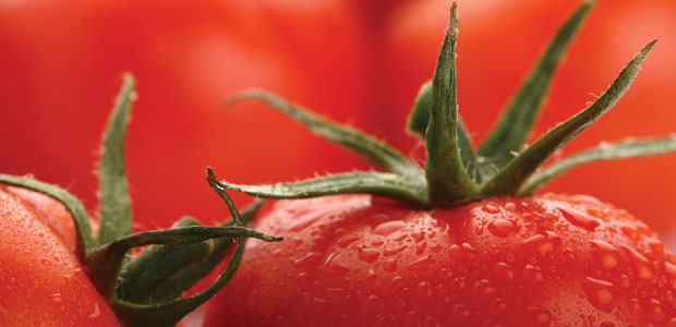 A Natural Arsenal Against Cancer