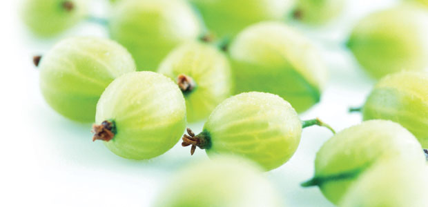 Phytoestrogens for Menopausal Symptoms