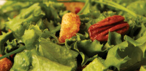 Cranberry Pecan Salad