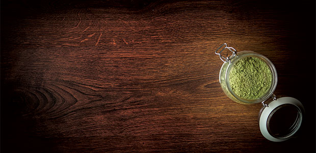 Fermenting Vegetarian Proteins