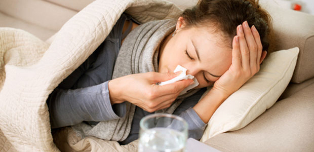 Flu Fears? Arm Yourself with Echinacea