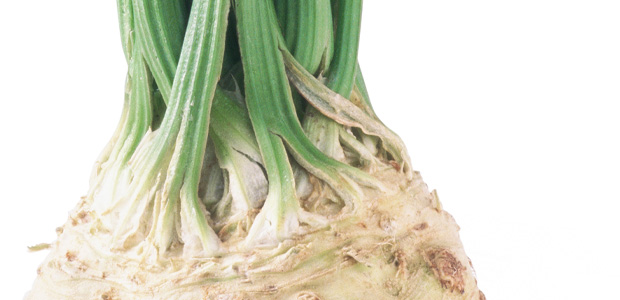 Hot and Healthy Wasabi