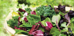 Honey Mustard Dressing