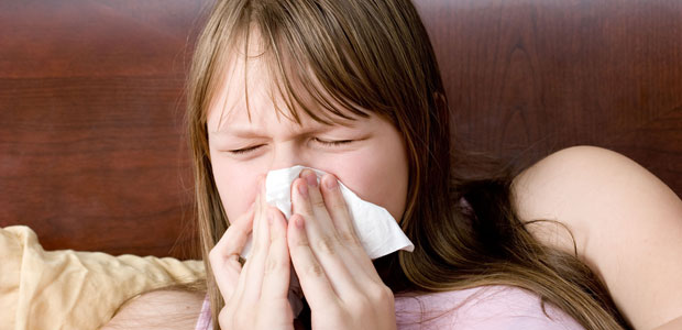 Echinacea’s Flu-Fighting Abilities Praised by Recent Research