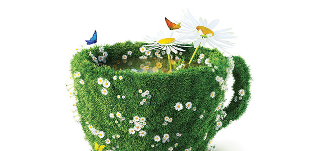 Natural Help for Anxiety Disorders