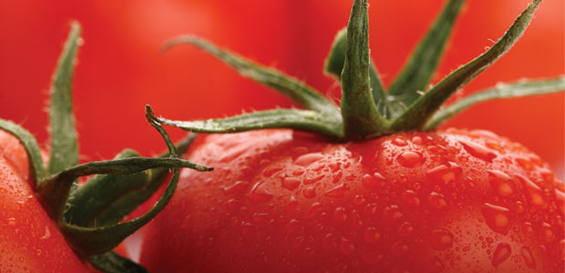 6 Crucial Carotenoids