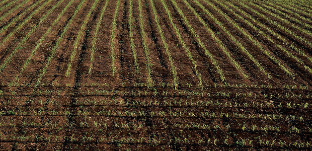 Miscellaneous Green Files