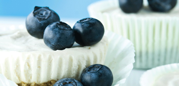 No-Bake Mini Cheesecake