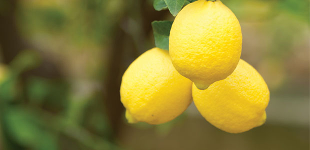 The Delicious Benefits of Lemons