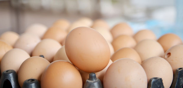 Crack One Open Because Today Is World Egg Day!