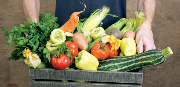 Slow Food in the Fast Lane