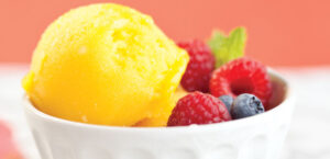 Fruit Sorbet