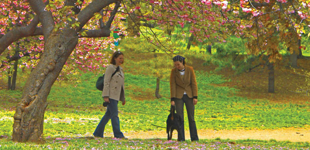 Mindfulness in Action