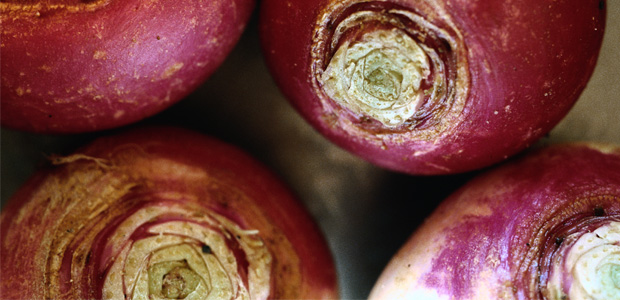 A Little Help for the Liver