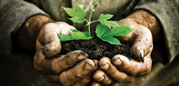 The Aging of Agriculture