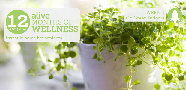 #2013alive: Go Green Indoors!