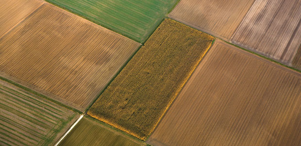 Preserving Biodiversity