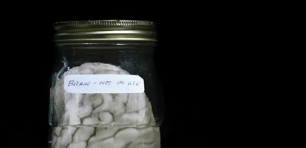 Are We Smart Enough To Be Sustainable?