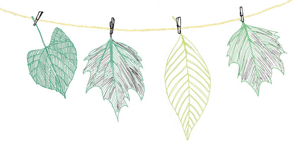 Make your Whites Greener