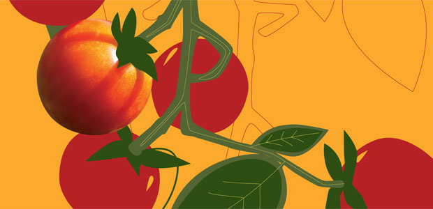 Health From the Vine