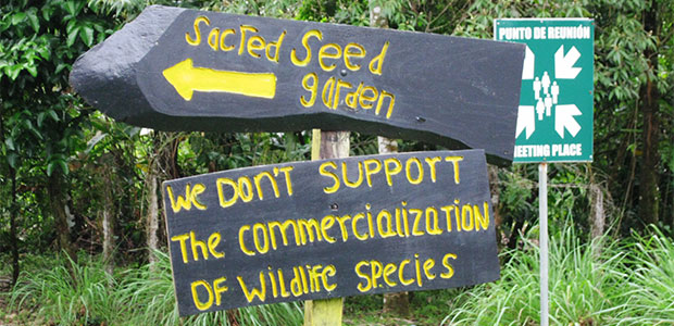 Exploring the First Sacred Seeds Garden