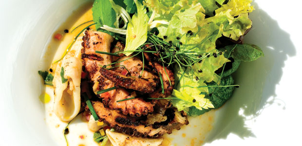 Octopus and Squid Salad with Chili Citrus Dressing
