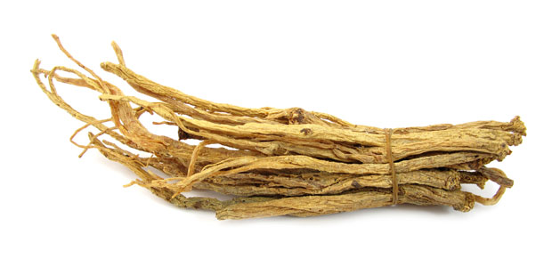 The Truth About Aphrodisiacs