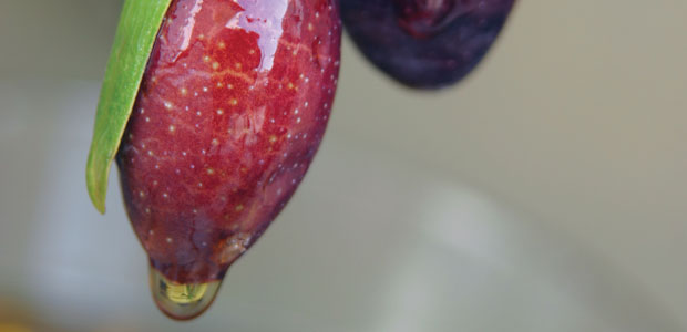 Eating à la Italia for Joint Wellness