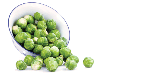 Brussels Sprouts