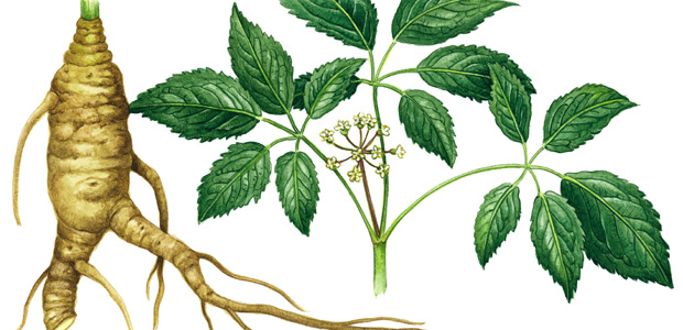 The Vitality Factor!