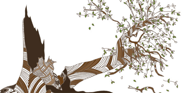 Step Lightly On the Planet