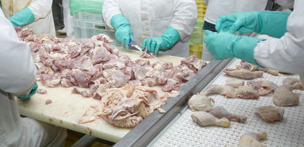 Budget Cuts to the Food Inspection Agency May Put Canadians at Risk