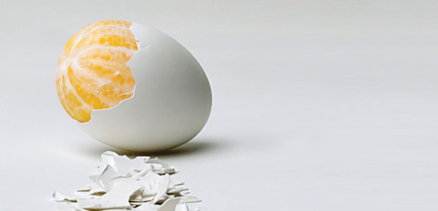 The Vitamin K Connection