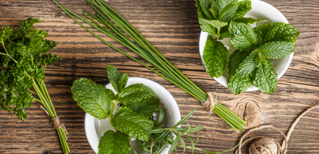Kitchen Corner: Storing Fresh Herbs