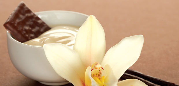 Good-for-You Bacteria