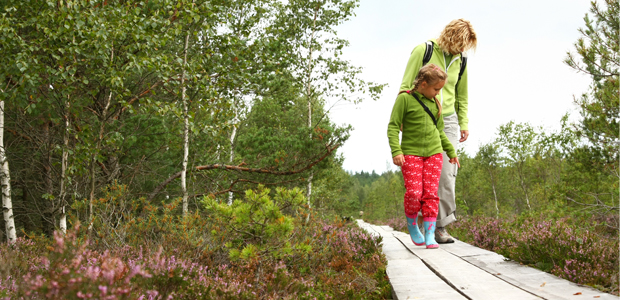 Protect Yourself During Tick Season