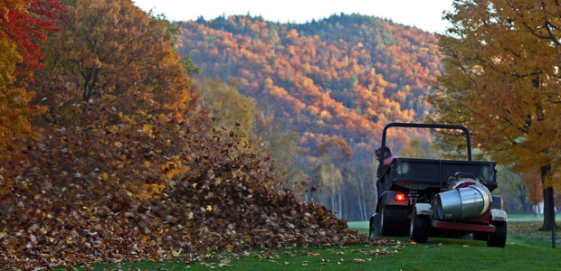 Leaf blowers: leaf us alone!