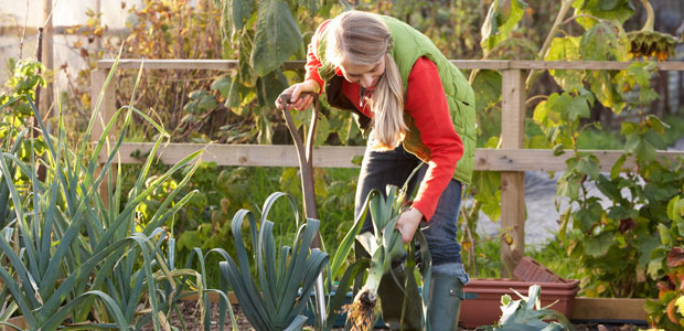 Nature’s Path Plants It Forward With “Gardens for Good” Grant Program