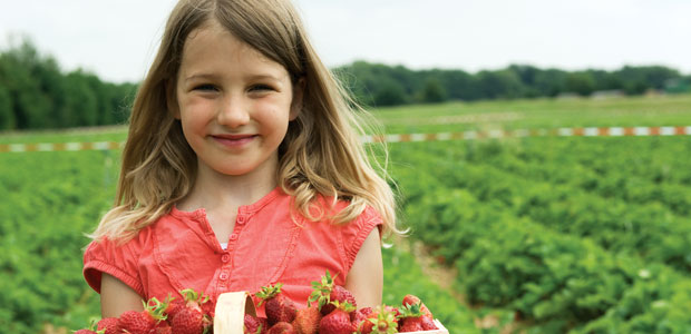 Every Parent’s Dream