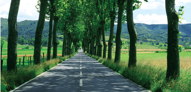 Siegfried Says Farewell