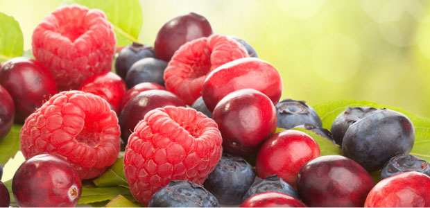 Antioxidants