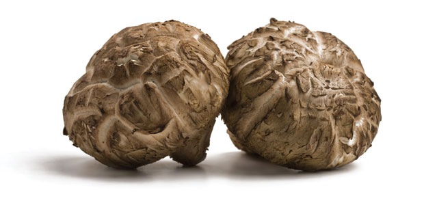 3 Top Immunity Boosters